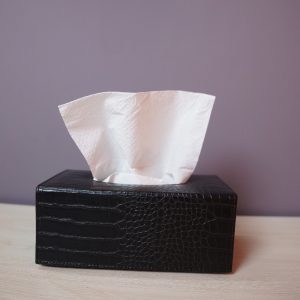 Hand Towel Tissue holder - Black